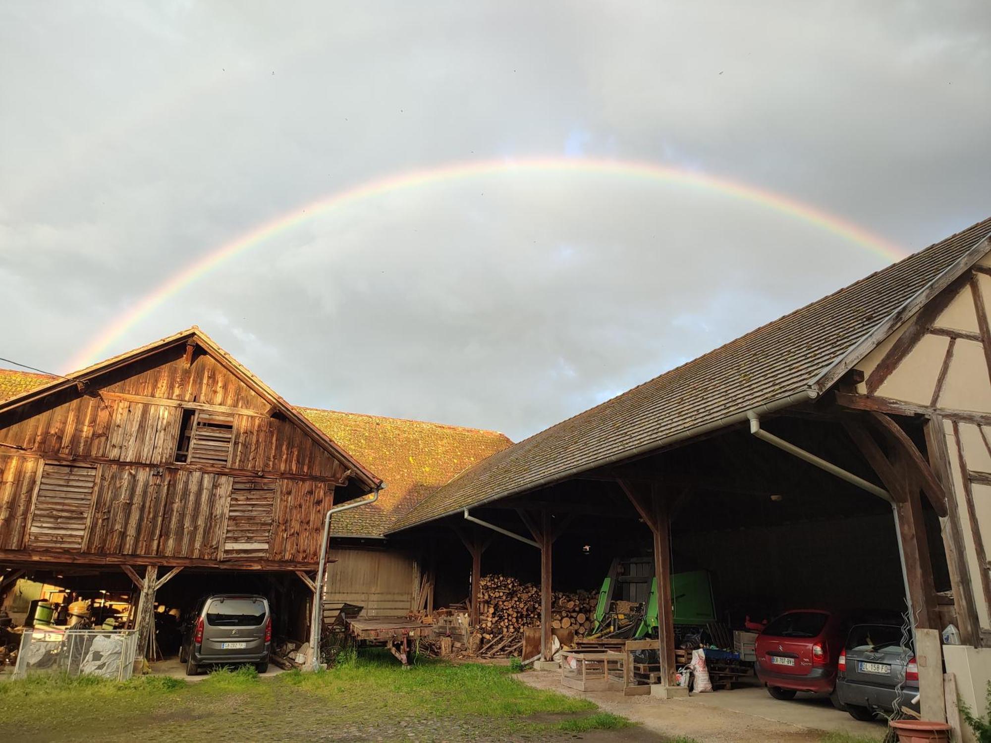 Chez Marguerite Gites A La Ferme Horbourg-Wihr المظهر الخارجي الصورة