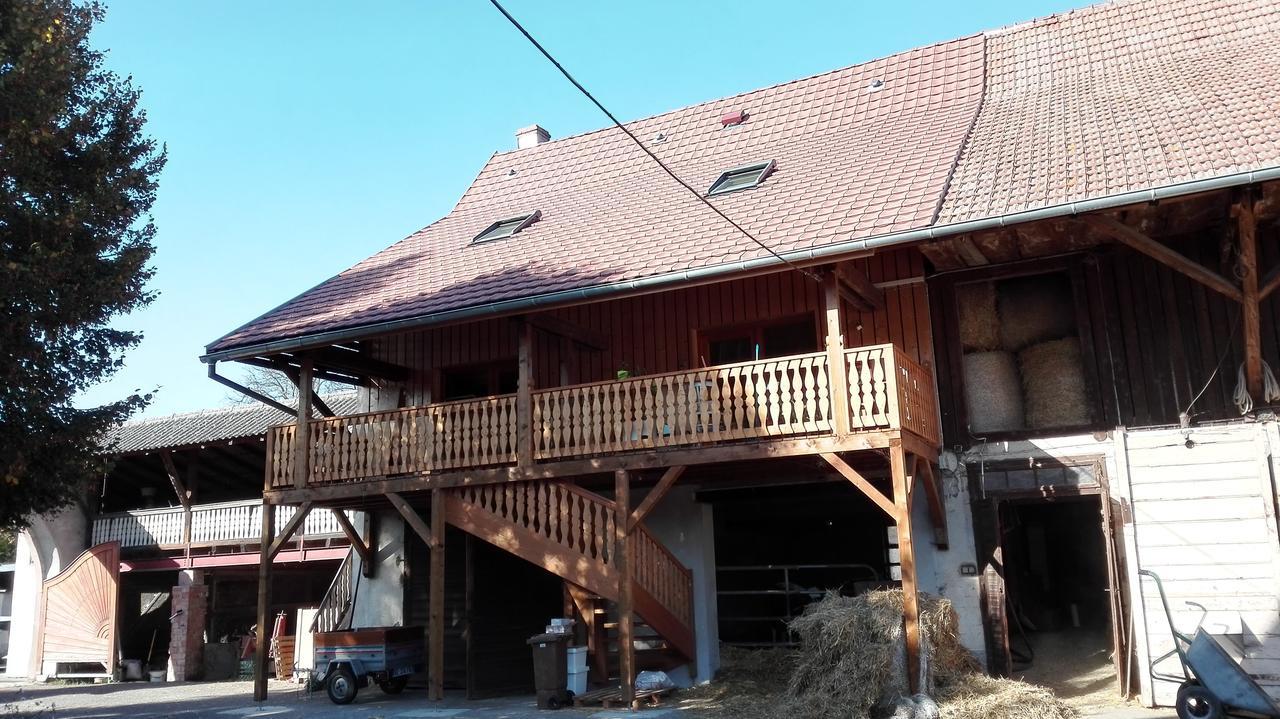 Chez Marguerite Gites A La Ferme Horbourg-Wihr المظهر الخارجي الصورة